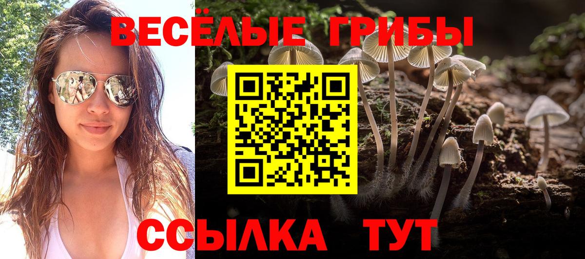 Псилоцибиновые грибы MAGIC MUSHROOMS  Вход с VPN  Менделеевск 