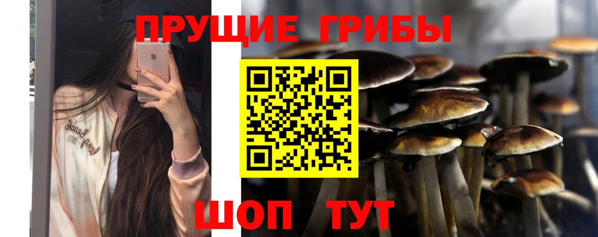 Псилоцибиновые грибы прущие грибы Менделеевск